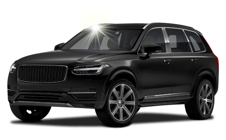 pesulasi sisapuhditus